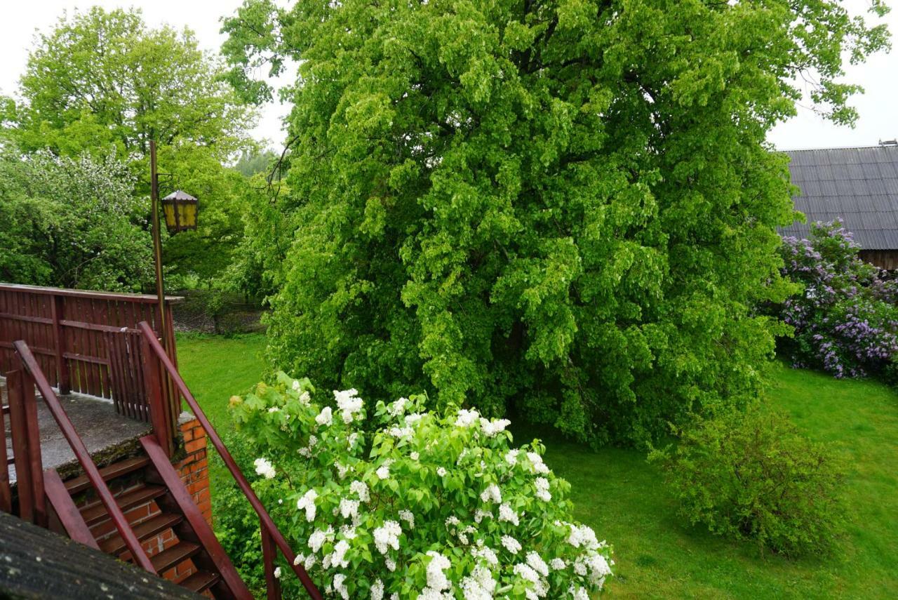 Lauku Seta Eglaji Vila Jurkalne Exterior foto